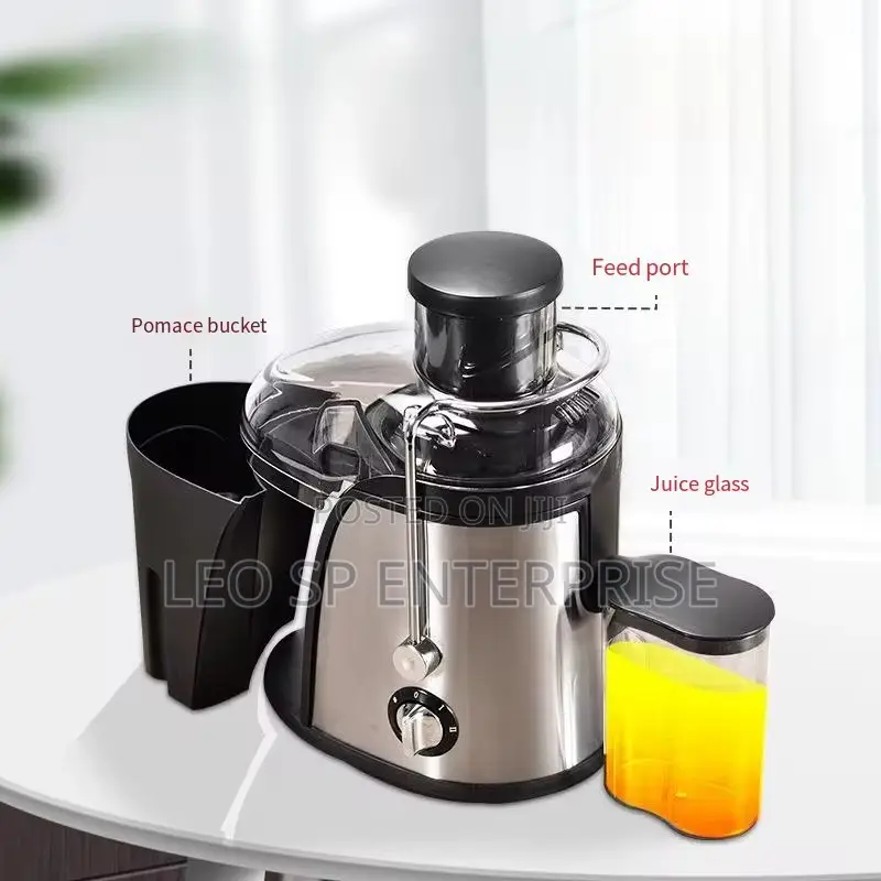 Fruit Juicer for Sale