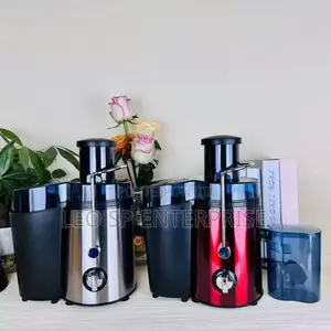 Fruit Juicer for Sale