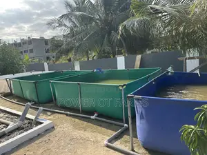 Fish Pond for Farming