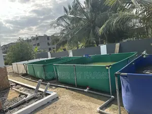 Fish Pond for Farming