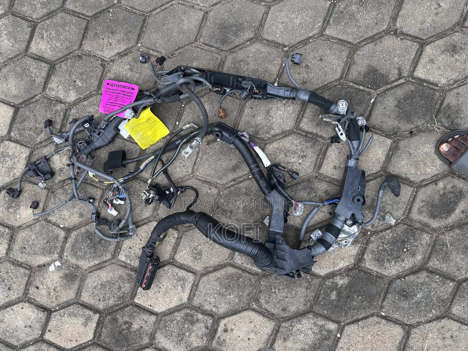 Lexus Engine Wiring Harnesses
