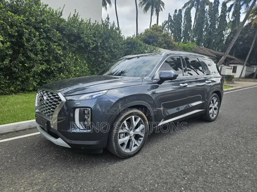 Hyundai Palisade 2019 Black