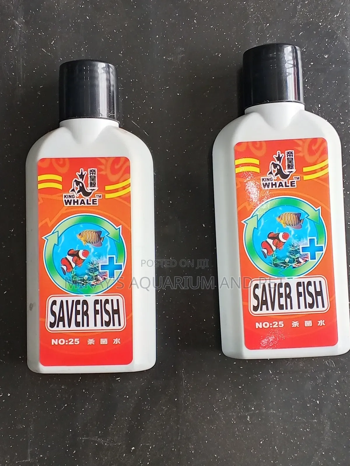 Saver Fish