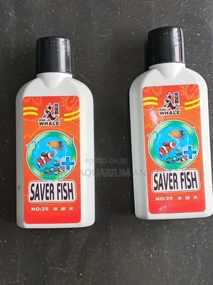 Saver Fish