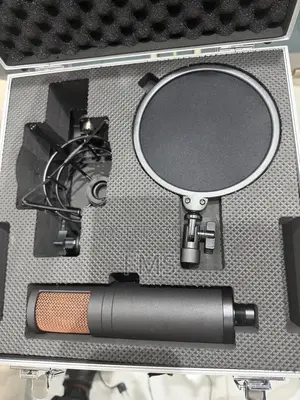 Antelope Audio Edge Duo Al – Dual-Capsule Modeling Microphone