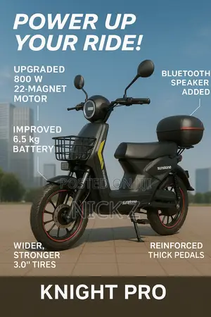 Electric Bike