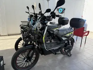 Electric Bike
