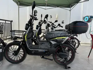 Electric Bike