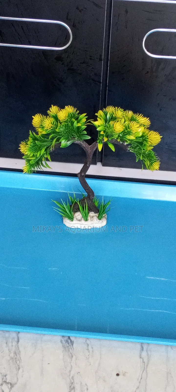 Aquarium Plant