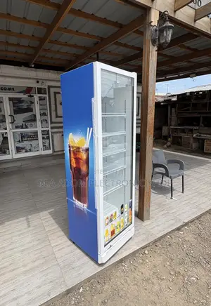 Blue Colour Nasco 360 Litres Display Commercial Fridge for Drinks