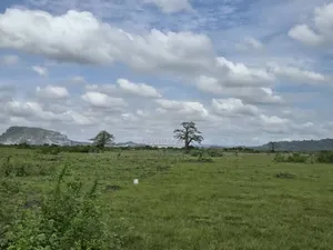 Vast Acres of Land at Shai Hills
