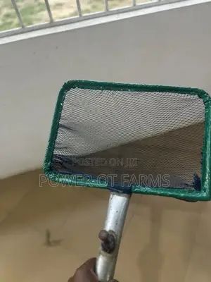 Fish Scoop Net