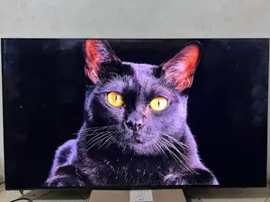 Samsung S90d Qd-Oled 55inch 144hz