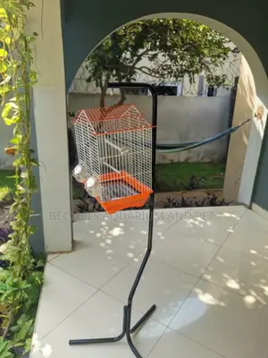 Birdcage Holder ( Stand)