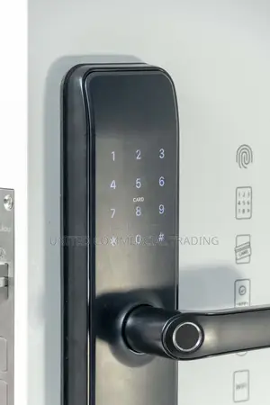 Smart Door Lock (Black)