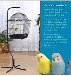 Quality Metal Bird Hanger Stand
