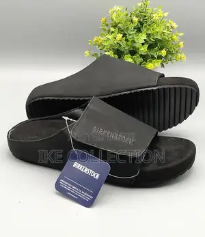 Pure Leader Birkenstock Available