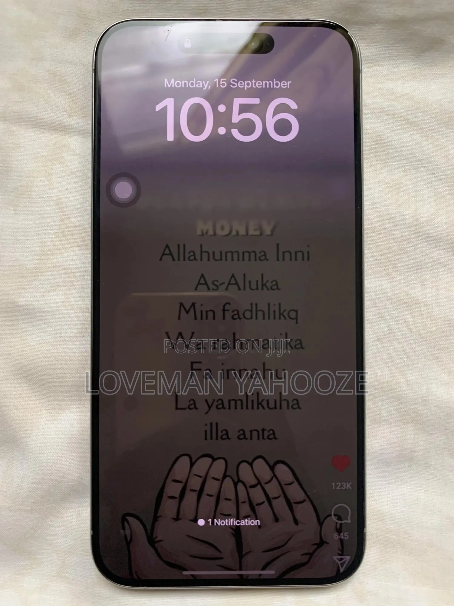 Apple iPhone 15 Pro Max 256 GB Gray