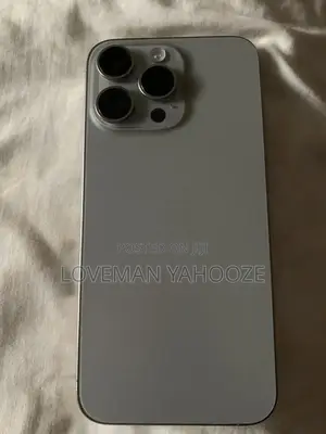 Apple iPhone 15 Pro Max 256 GB Gray