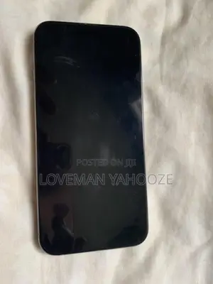 Apple iPhone 15 Pro Max 256 GB Gray