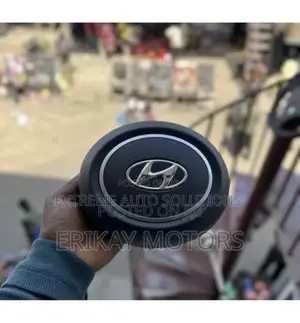 2022 Elantra Airbag Cover