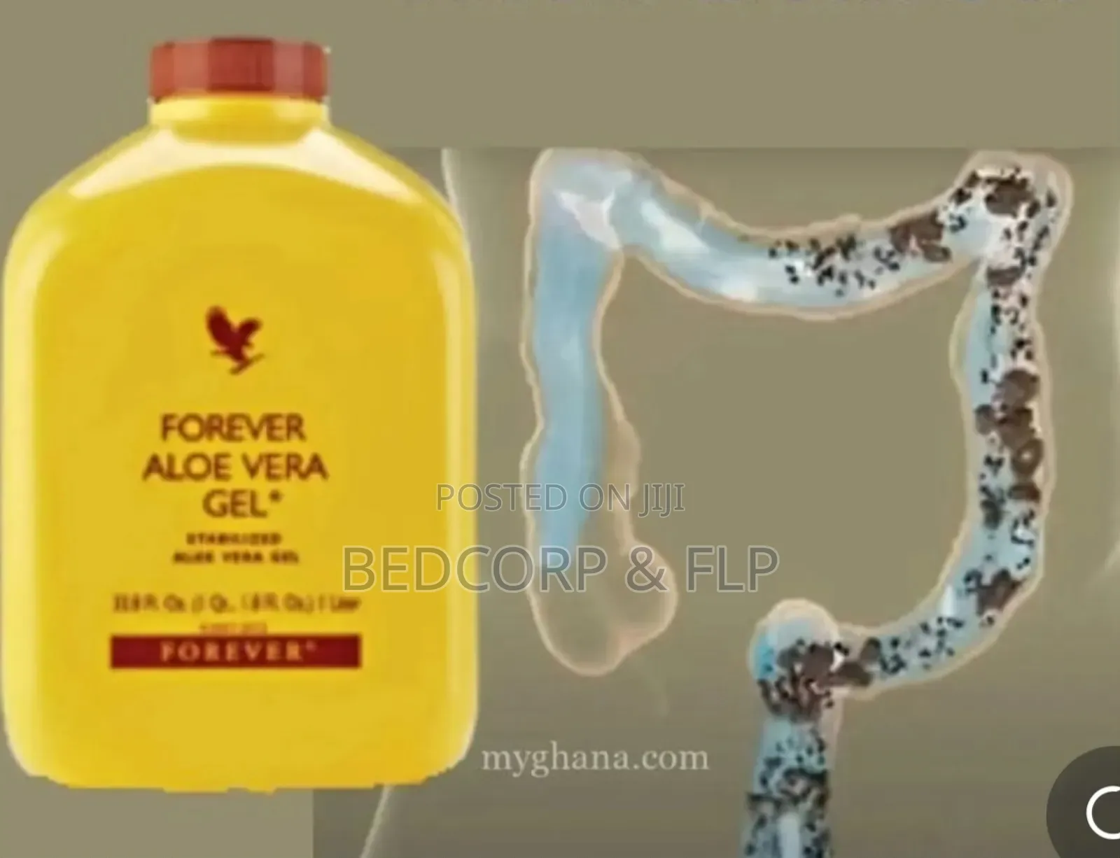 Fl Forever Aloe Vera Gel Body Detox