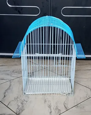 Cute Bird Cage