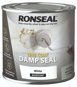 Damp Seal for Walls
