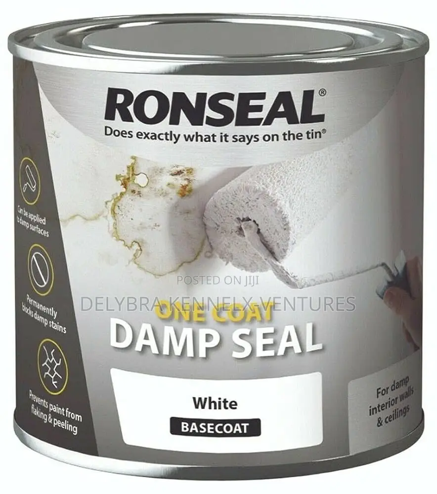 Damp Seal for Walls