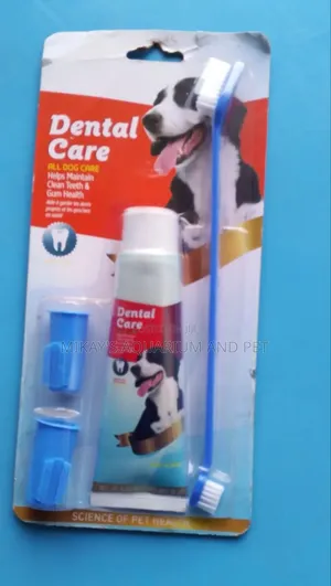 Dental Care for Dogs