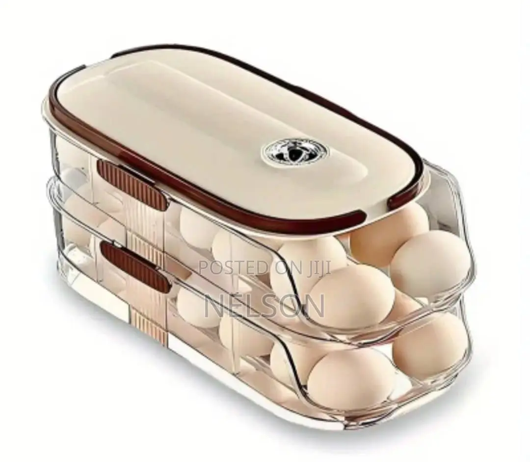 Double-Layer Egg Storage Box