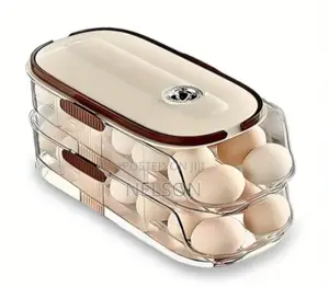 Double-Layer Egg Storage Box