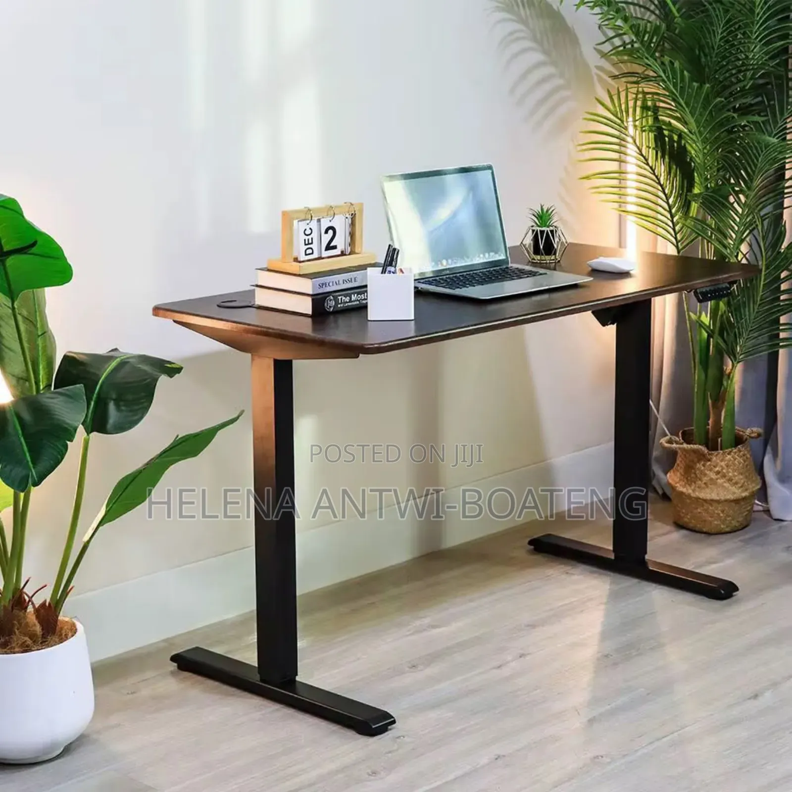 Premium Electric Adjustable Height Table