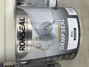 Damp Seal for Walls
