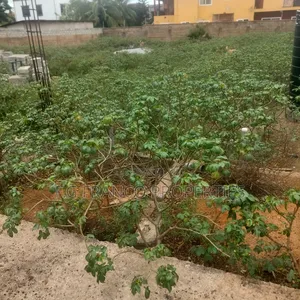 2 and Helf Plots for Sale at Spintex