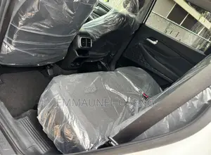 Hyundai Santa Fe 2020 White