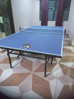 Table Tennis Set With Extra Balls
