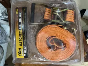 Container Belt / Ratchet Tie Down (10 M)