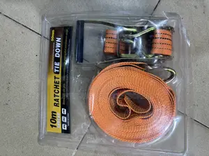 Container Belt / Ratchet Tie Down (10 M)