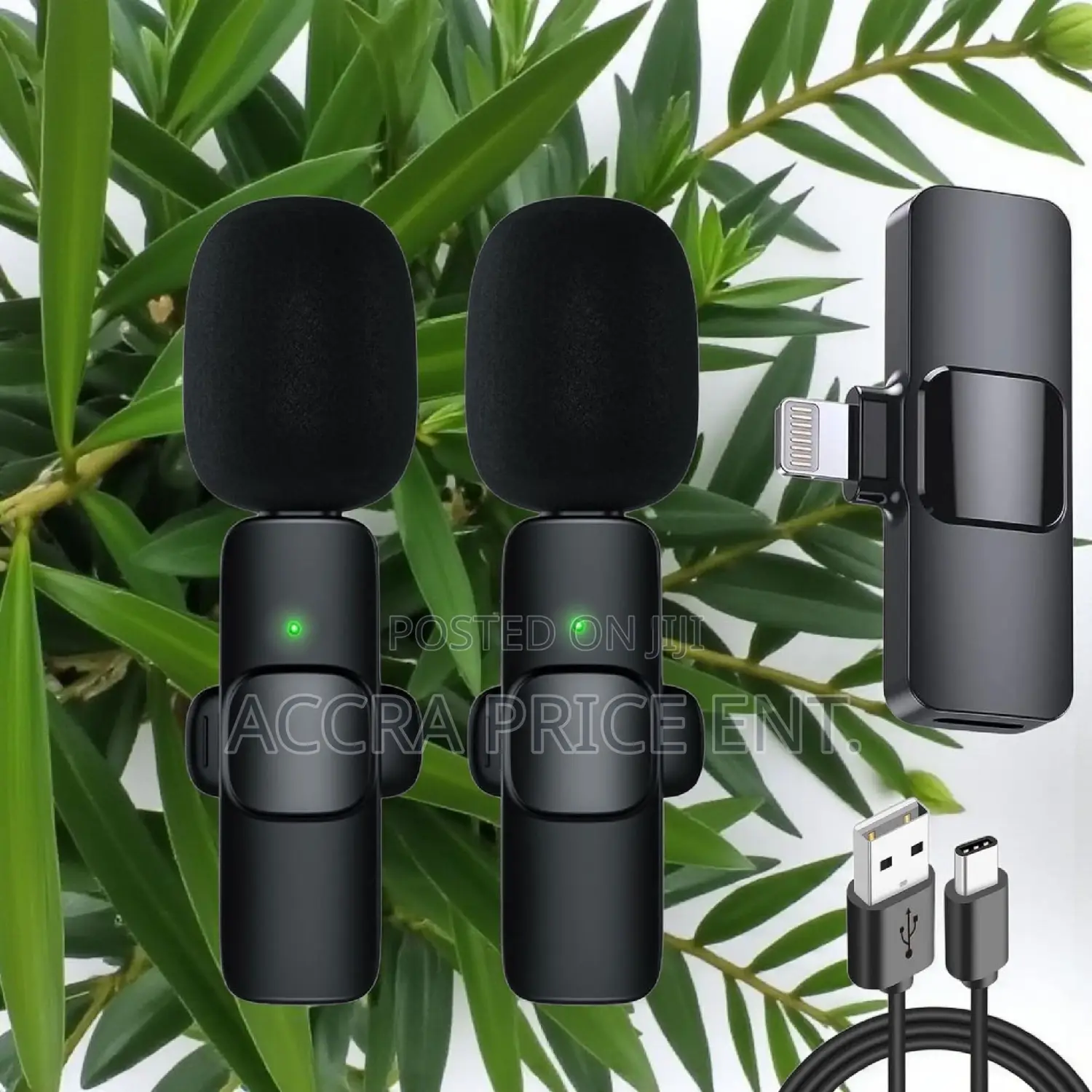 Long Battery Life 2 in 1 Wireless Microphone (65663)