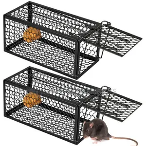 Rodents,Mouse, Traps Of Different Sizes