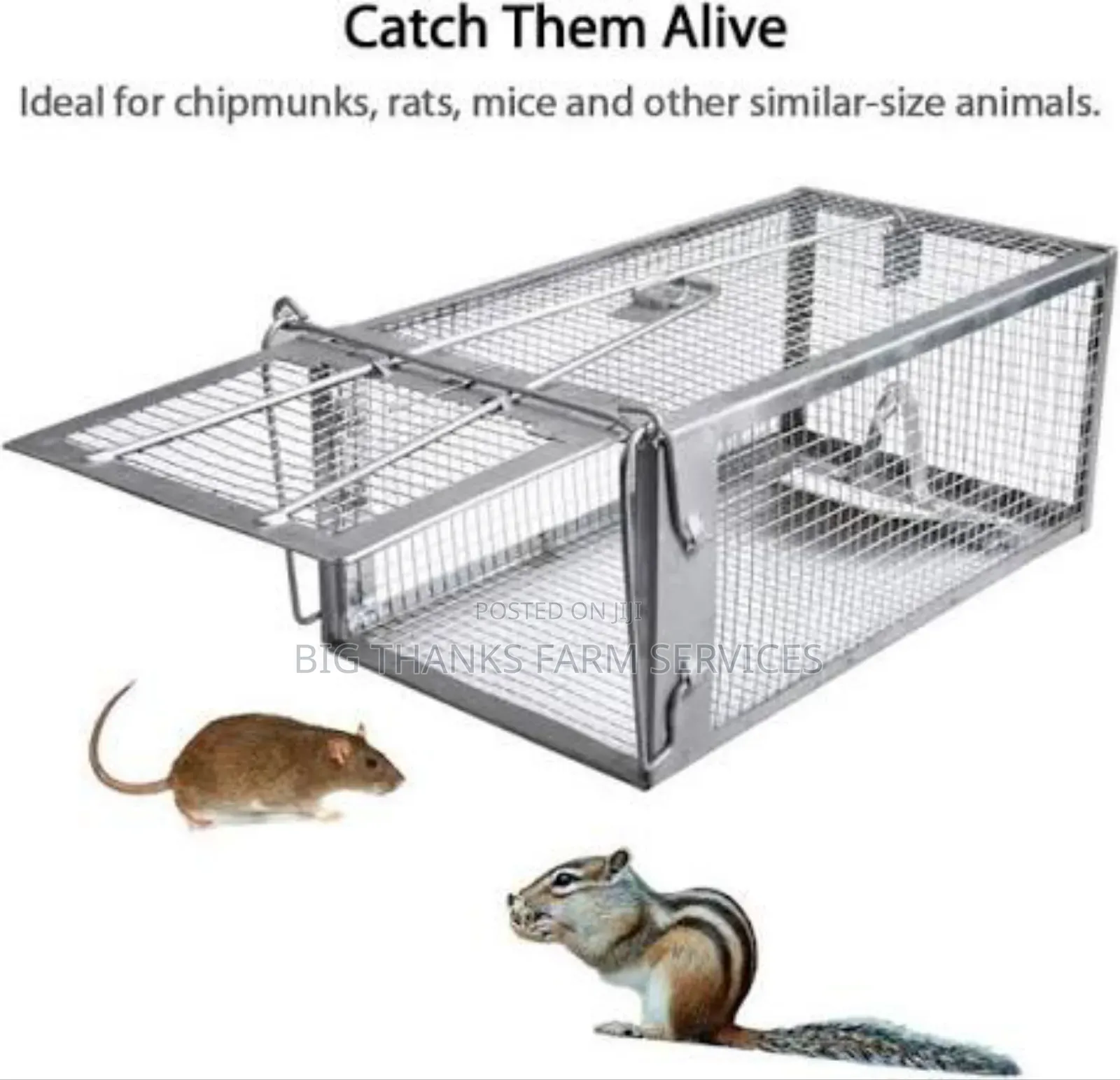 Rosent(Mouse,Lizard,Rats Ets)  Traps