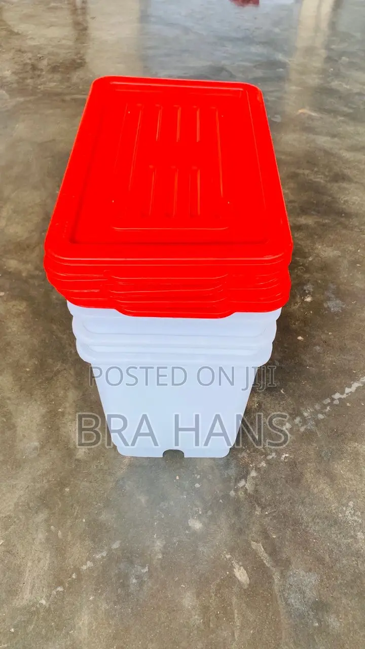 Water Box( Chicken)