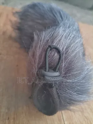 Windshield Windscreen Cat Cover