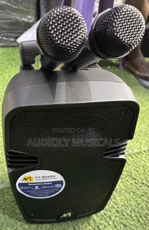 No1 8inches Rechargeable Speaker With Two Microphones