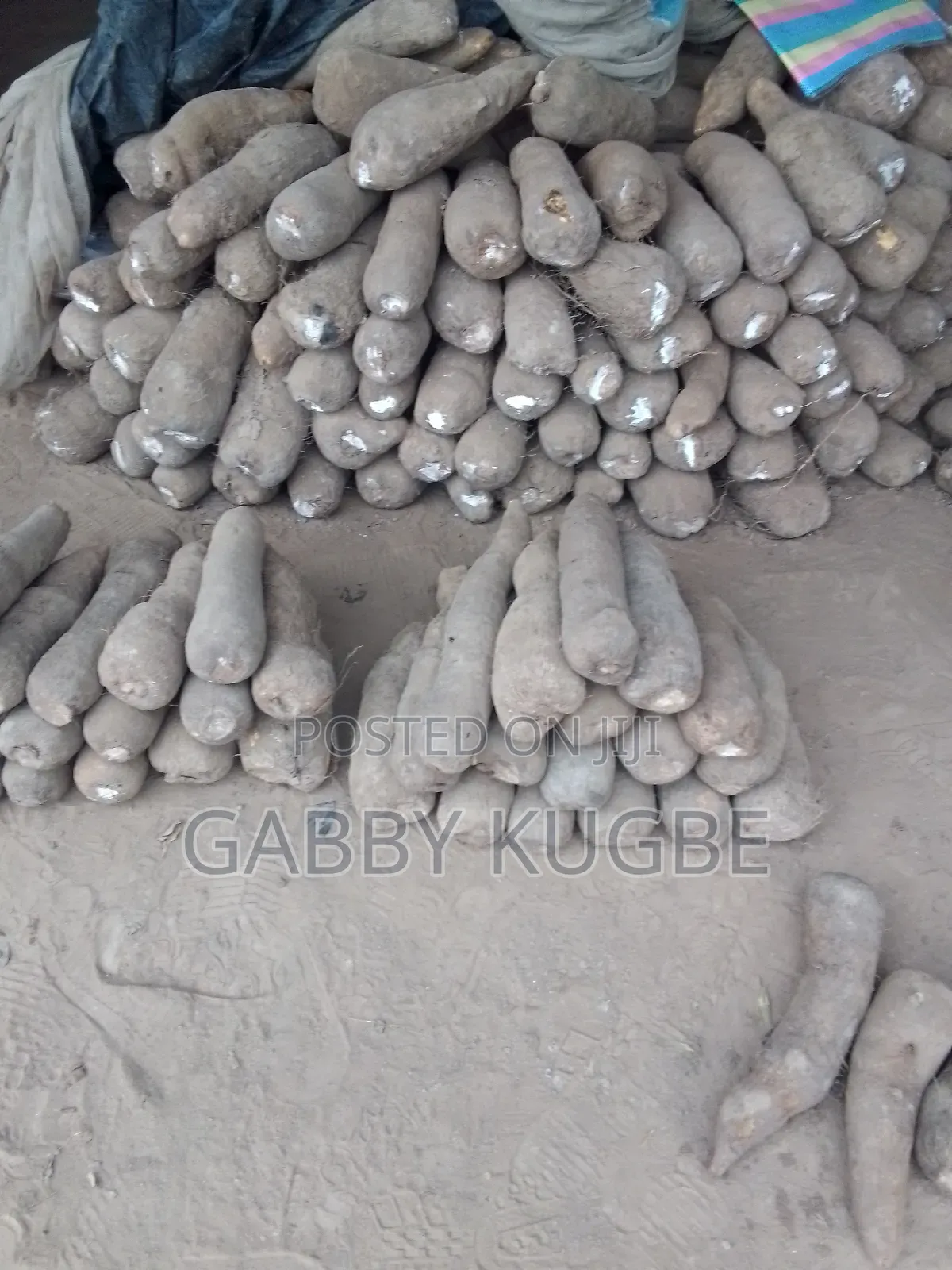 Fresh Yam for Everyone