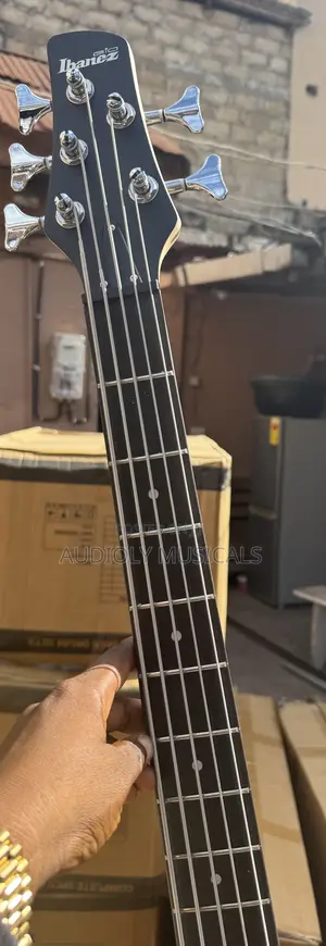 Passive Bass Guitar Ibanez