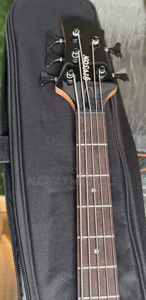 Free Guitar Bag With Gibson Active Bass Guitar