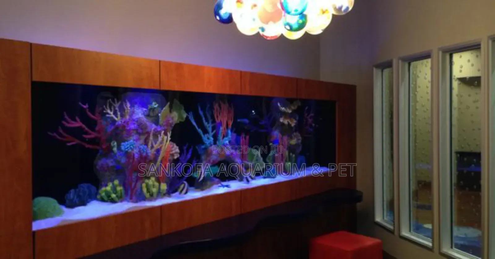 We Customize Best Wall Aquarium