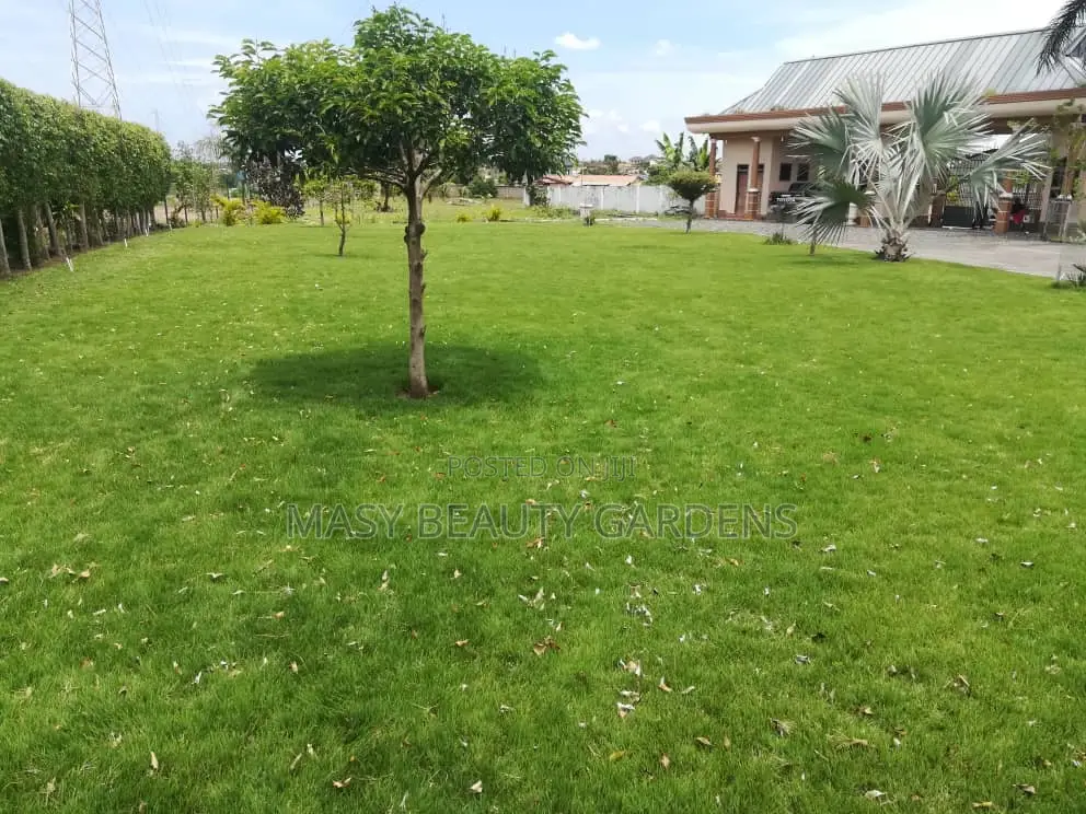 Masy Gardens N Landscaping